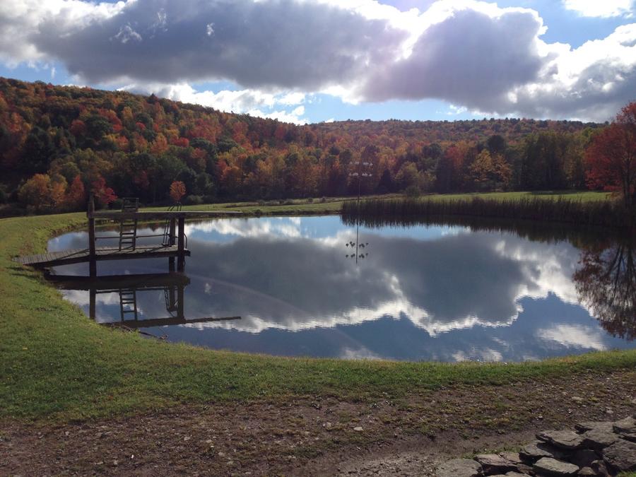 The Pond on a picture perfect day