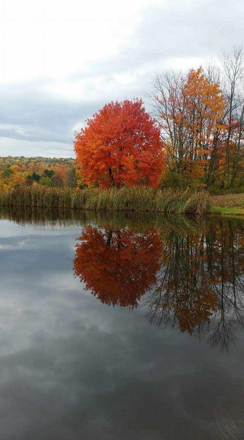 Fall.jpeg