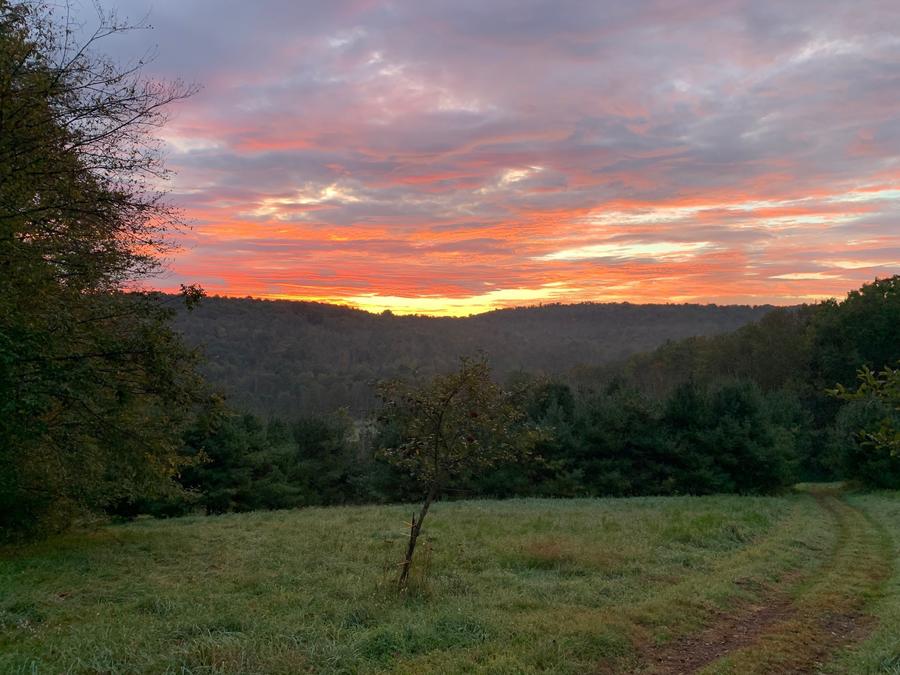 Now that's a Sunrise.jpg