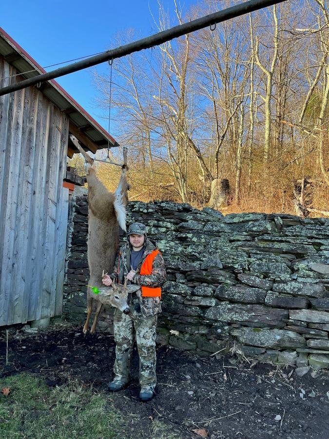 The first deer on the Meat Pole.jpg