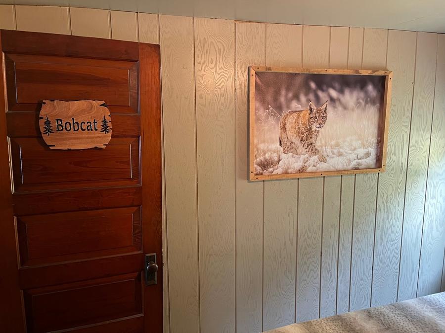 Bobcat C.jpg