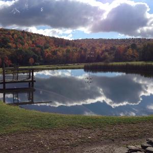 The Pond on a picture perfect day