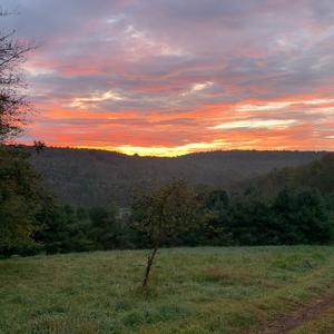 Looking North.JPG